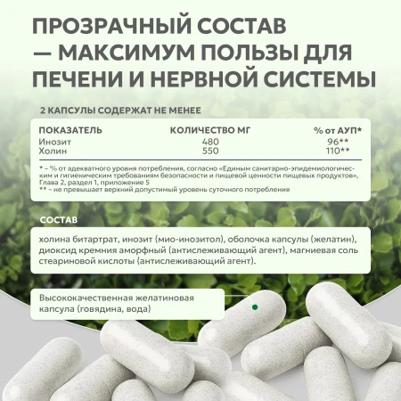 Natural Supp Холин + Мио-Инозитол 60 капс. 