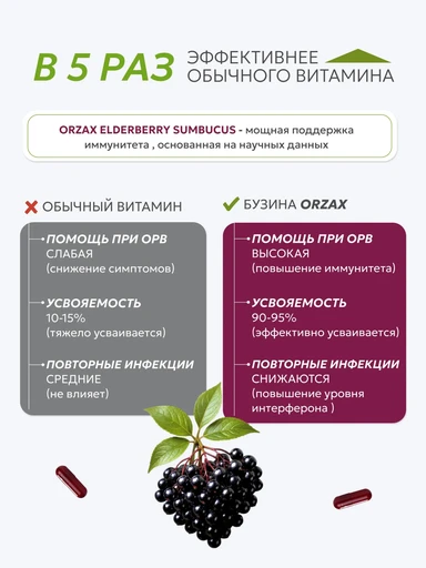ORZAX ELDERBERRY (Sambucus) with vitamin C and Zinc 