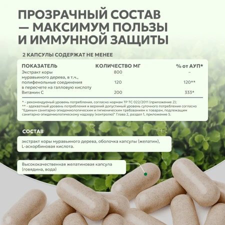 Natural Supp Пау дэ Арко 60 капс. 