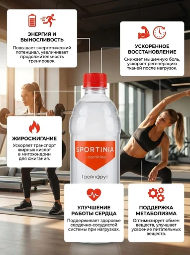 SPORTINIA Напиток L-Carnitine 500 мл - грейпфрут 