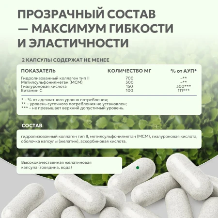 Natural Supp Гиалуроновая кислота 60 капс. 