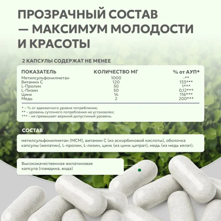 Natural Supp Кожа волосы ногти 60 капс. 