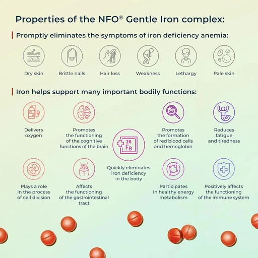 NFO Zinc Complex 90 таб 
