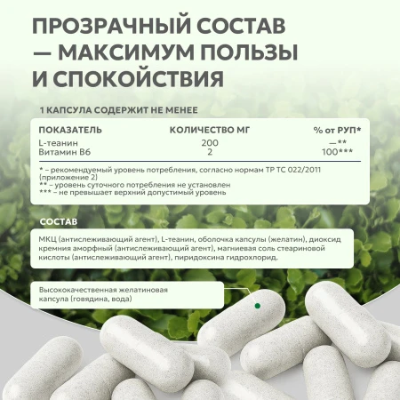 Natural Supp L-Теанин + витамин В6 60 капс. 