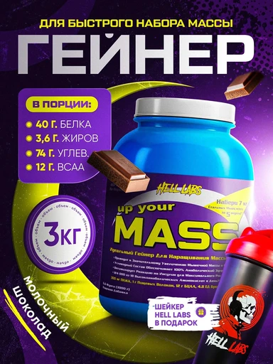 Hell Labs Up your mass 3000g (Chocolate)