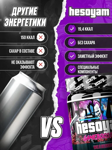 Reckful ® Game Booster Hesoyam 300g для геймеров (Forrest berries) 