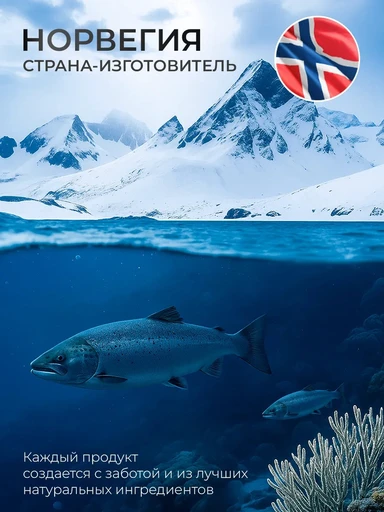 NFO Omega-3 Forte 60 мяг капс 