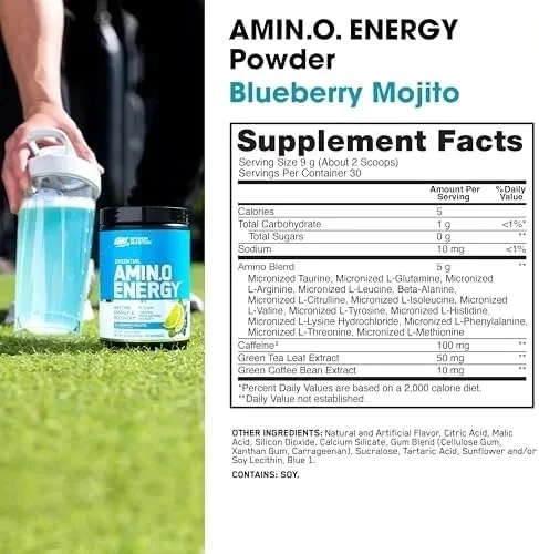 OPTIMUM NUTRITION Amino Energy 585 гр - арбуз 