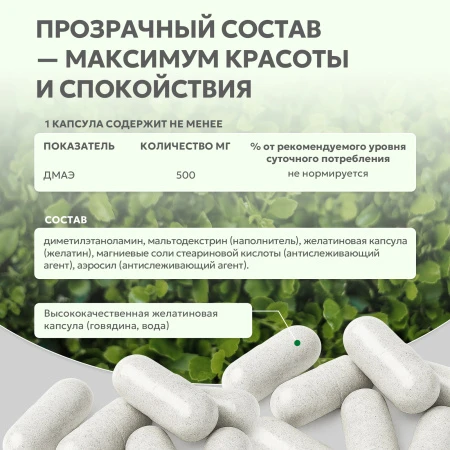Natural Supp DMAE (Диметилэтаноламин) 60 капс. 