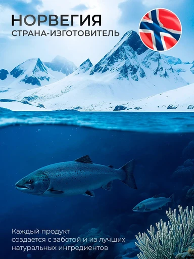 NFO Omega-3 Forte / NFO Омега-3 Форте, № 120 