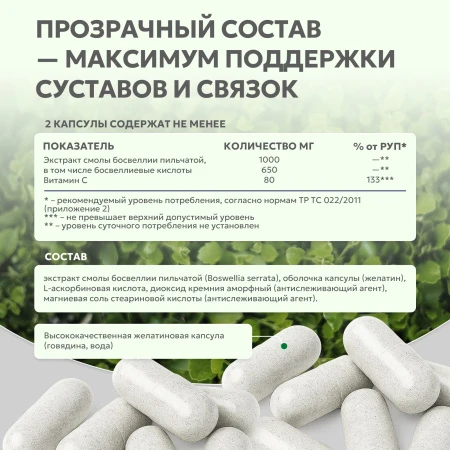 Natural Supp Босвеллия + витамин С 60 капс. 