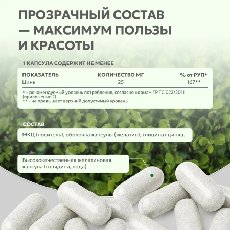 Natural Supp Цинк хелат 60 капс. 