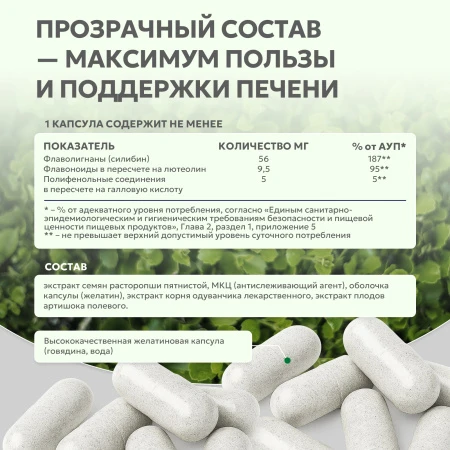 Natural Supp Силимарин комплекс 60 капс. 