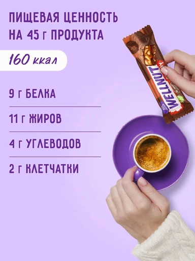 Fit Kit Protein WELLNUT CRISPY 45g 