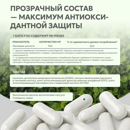 Natural Supp Альфа-липоевая кислота 60 капс. 