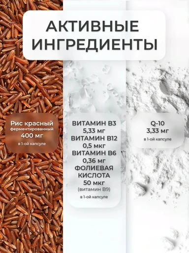 NFO Lipid Balance / NFO Липид Баланс 