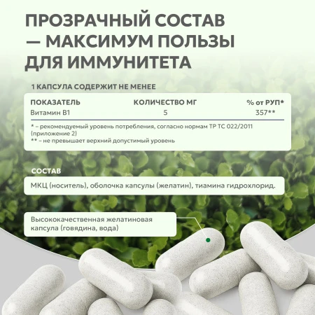 Natural Supp Тиамин 60 капс. 
