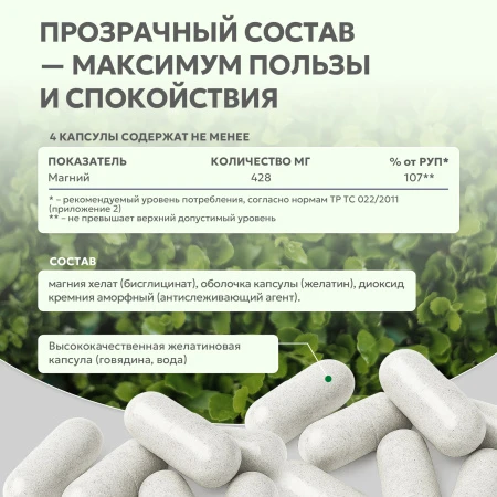 Natural Supp Магний хелат 60 капс. 