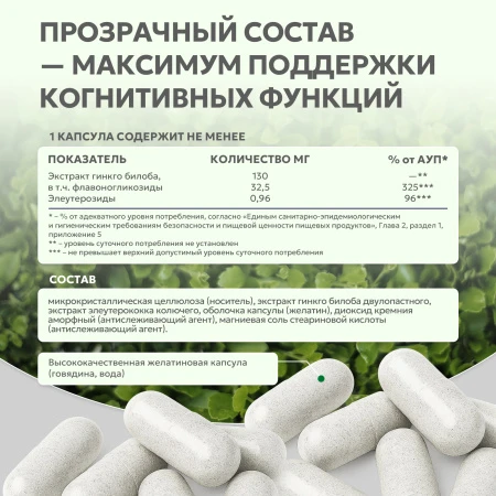 Natural Supp Экстракт гинкго билоба + Экстракт элеутерококка 60 капс. 