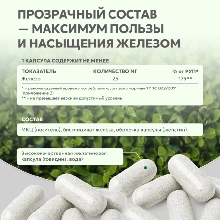 Natural Supp Железо хелат 60 капс. 