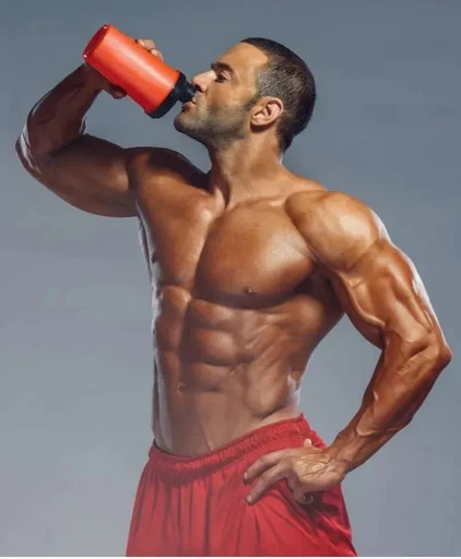 2SN Gainer 3000g (Клубника) 