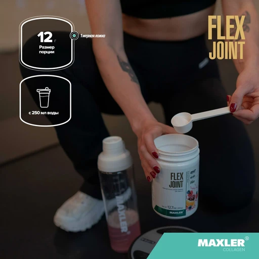 Maxler Flex Joint 360 г - фруктовый пунш 