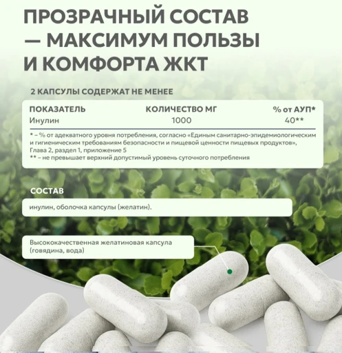 Natural Supp Инулин 500 мг 60 капс. 