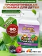 Nature's Plus Animal Parade Acidophi Kidz Chewable, Berry Flavor 90