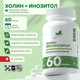 Natural Supp Холин + Мио-Инозитол 60 капс.