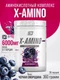 2SN X-Amino 360 гр - ежевика