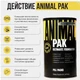 Animal PAK 44 пак (NEW)