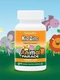 Nature's Plus Animal Parade Kid Zinc Lozenges, Tangerine Flavor 90