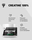 Trec Nutrition Creatine 100% 300 г
