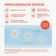 Liposomal ORGANIC IRON, флакон 50мл