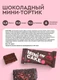 PROTEIN REX Mini Cake 40 г - шоколадный тортик с малиной