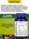 Nature's Plus POWER TEEN (HIM) CHEWABLE 60 жевательных таблеток